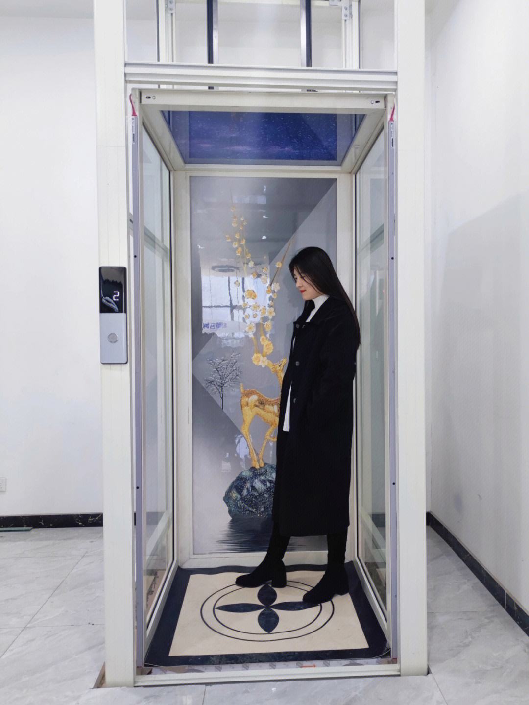 液壓觀光電梯展示③