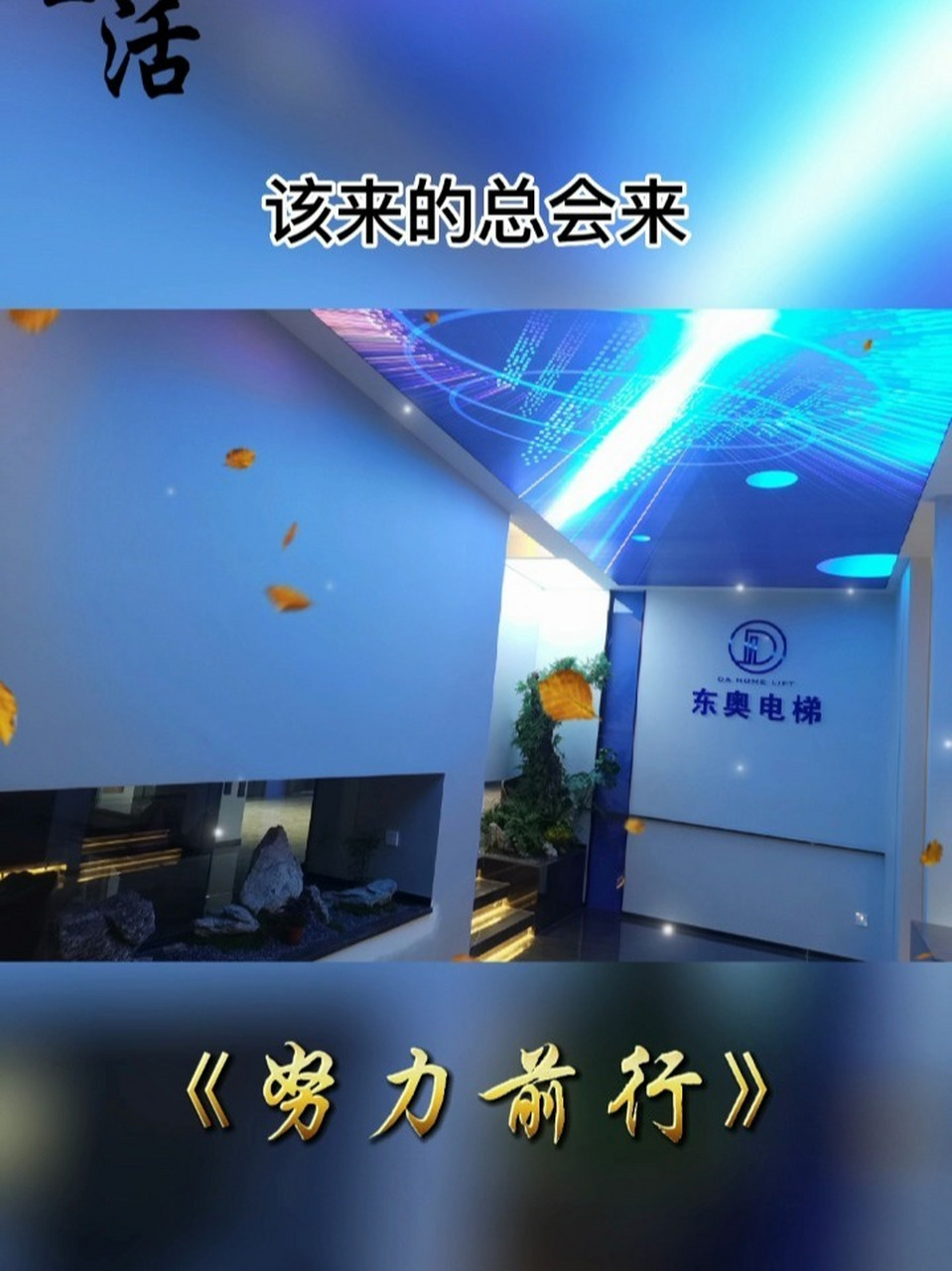 電梯公司(電梯公司聯系電話)