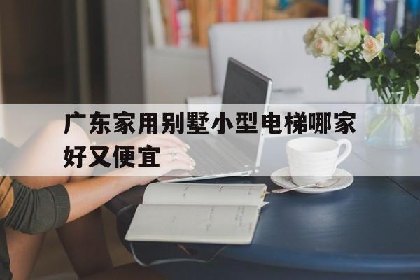 廣東家用別墅小型電梯哪家好又便宜(廣東別墅電梯品牌大全)