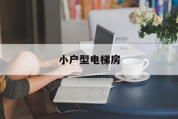 小戶型電梯房(小戶型電梯房文案)