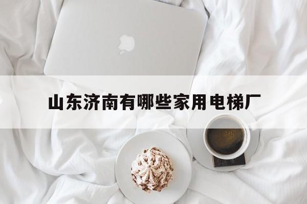 山東濟(jì)南有哪些家用電梯廠(濟(jì)南有資質(zhì)的電梯生產(chǎn)廠家有哪些)