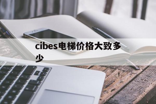 cibes電梯價格大致多少(thyssenkrupp電梯價格)