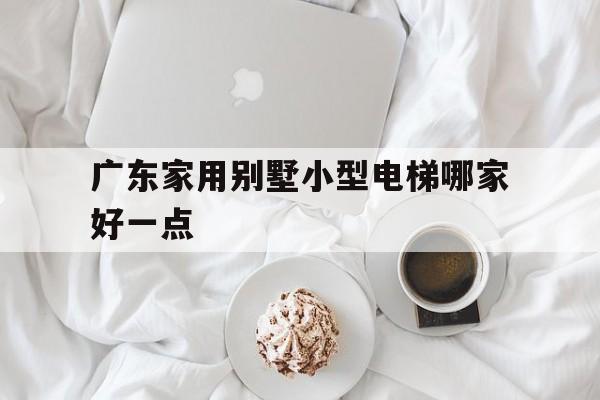 廣東家用別墅小型電梯哪家好一點(廣州別墅電梯品牌)