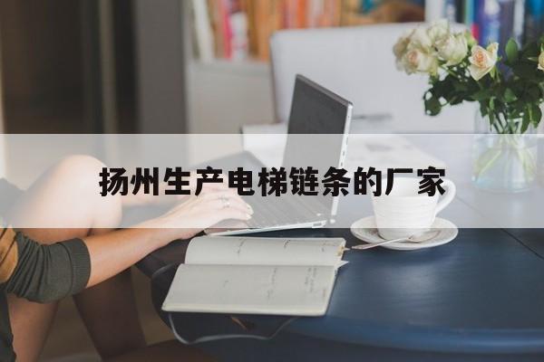 揚州生產(chǎn)電梯鏈條的廠家(揚州有哪些生產(chǎn)電梯廠家)