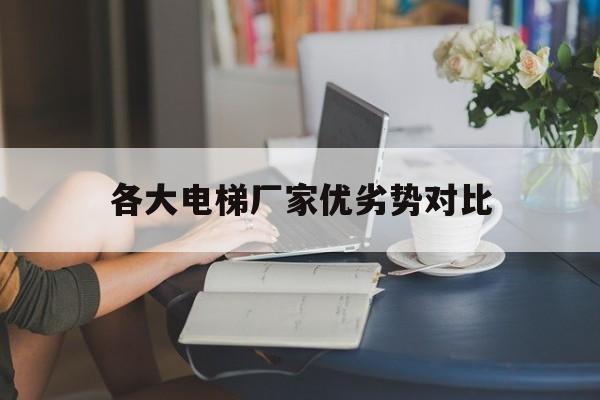 各大電梯廠家優(yōu)劣勢對比(各大電梯品牌優(yōu)缺點對比)