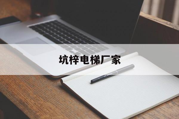 坑梓電梯廠家(坑梓電梯廠家地址)