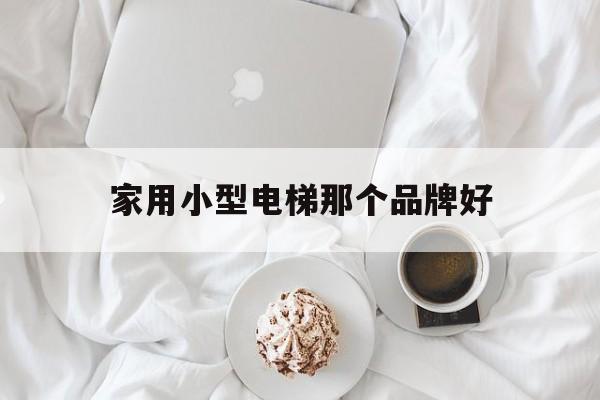 家用小型電梯那個品牌好(小型家用電梯什么價格)