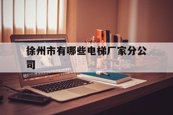 徐州市有哪些電梯廠家分公司(徐州電梯公司有哪幾家)