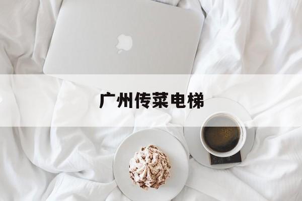 廣州傳菜電梯(傳菜電梯報價)