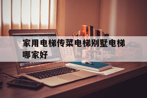 家用電梯傳菜電梯別墅電梯哪家好(小型傳菜電梯)