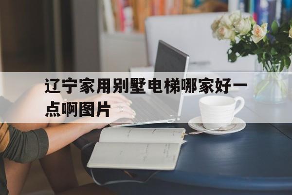 遼寧家用別墅電梯哪家好一點啊圖片(遼寧別墅價格是多少)