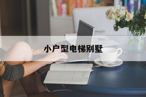 小戶型電梯別墅(家庭別墅小電梯價(jià)格)