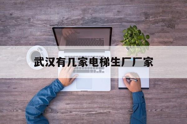 武漢有幾家電梯生廠廠家(武漢最大的電梯公司)