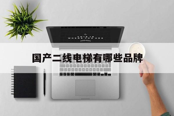 國產二線電梯有哪些品牌(中國電梯二線品牌最新排名)