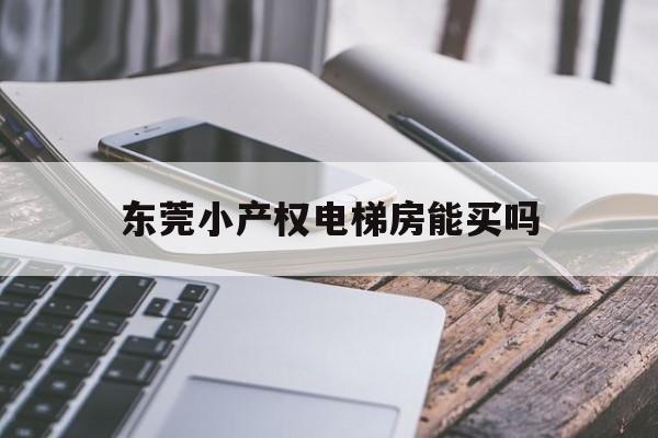 東莞小產(chǎn)權(quán)電梯房能買嗎(東莞小產(chǎn)權(quán)的房子可以買嗎)