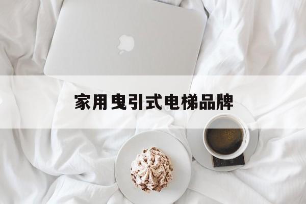 家用曳引式電梯品牌(家用曳引電梯最小尺寸)