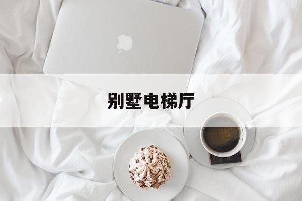 別墅電梯廳(別墅電梯廳門門套效果圖)