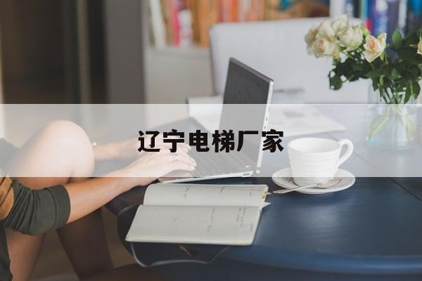 遼寧電梯廠家(遼寧省電梯行業協會電話)