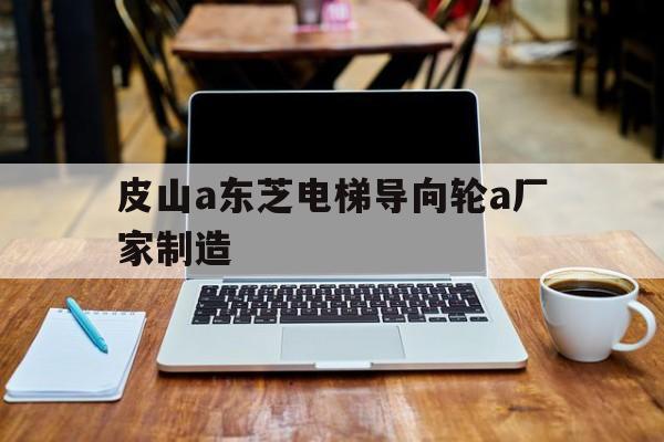 皮山a東芝電梯導向輪a廠家制造(東芝電梯導靴怎么調整)