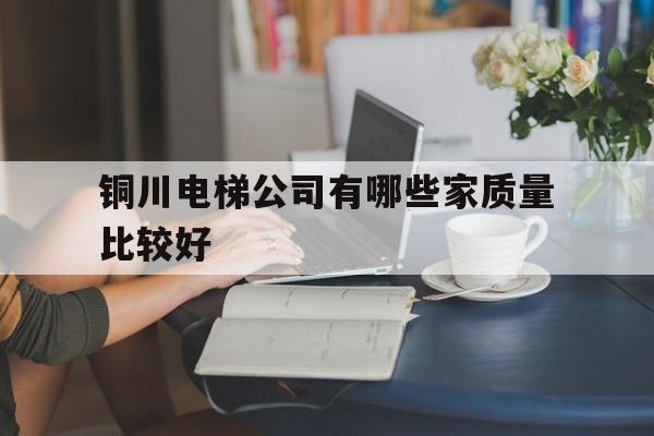 銅川電梯公司有哪些家質量比較好(銅川新區(qū)家電維修電話?)