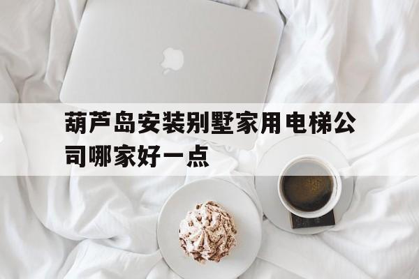 葫蘆島安裝別墅家用電梯公司哪家好一點(葫蘆島別墅多少錢一平)