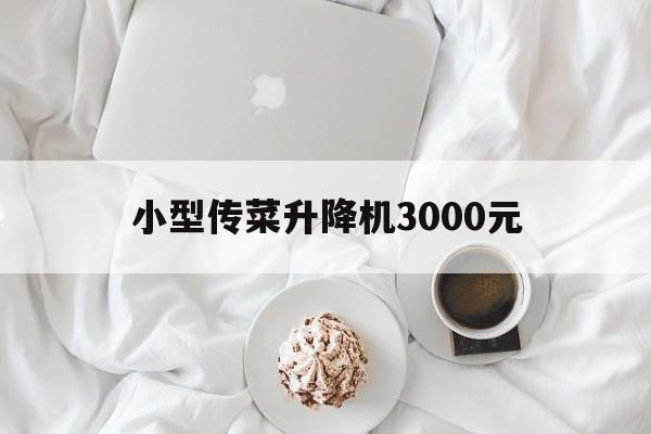 小型傳菜升降機3000元(傳菜升降機安裝視頻)