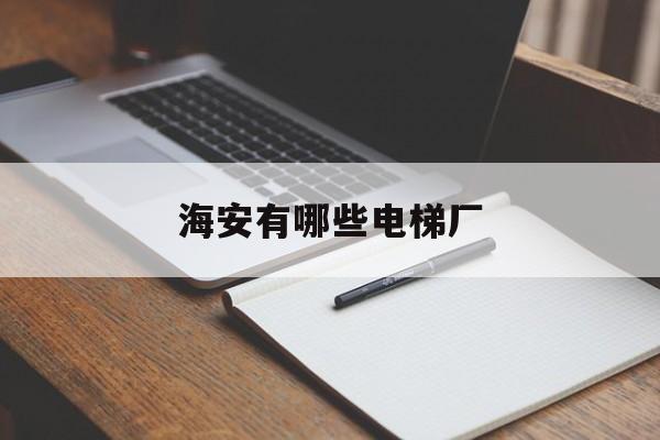 海安有哪些電梯廠(海安有哪些電梯廠招工)