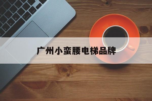 廣州小蠻腰電梯品牌(廣州小蠻腰電梯速度)